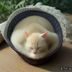 资深铲屎官编辑林晓猫头像，亲切笑容，家居环境